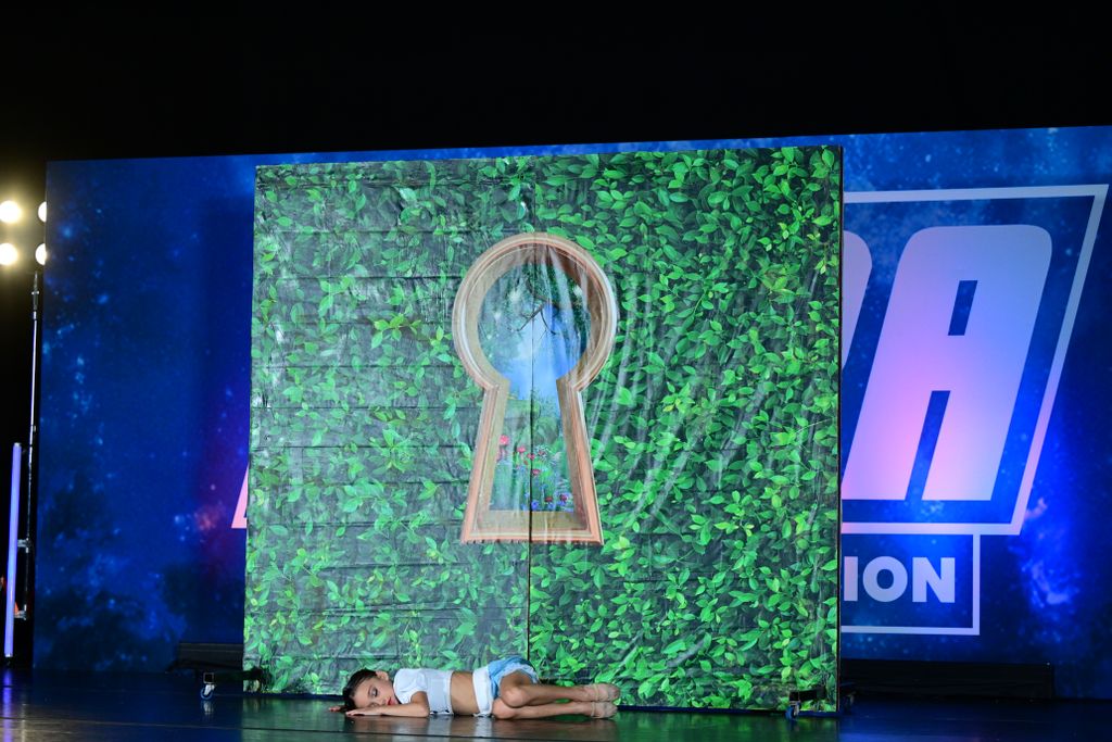 Welcome To Wonderland