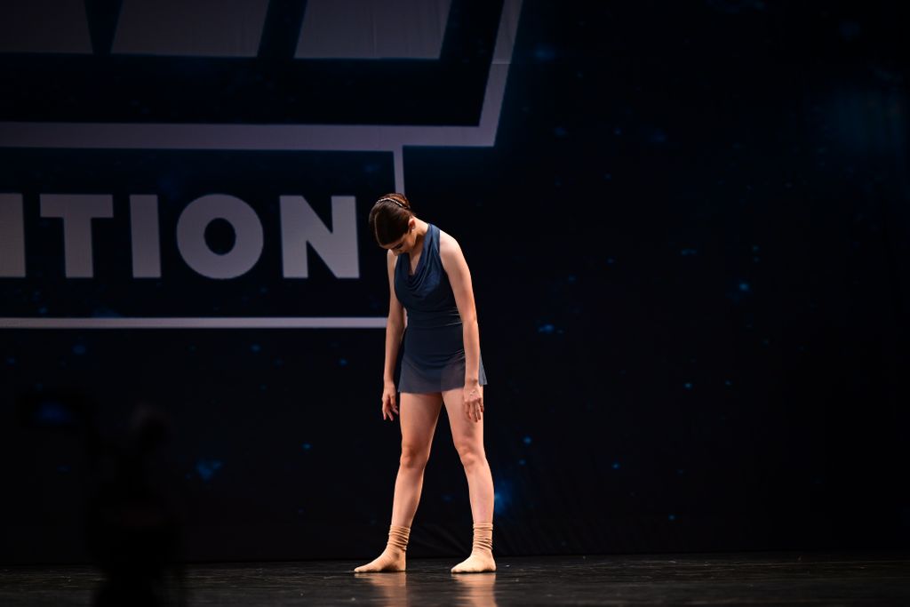 Arrival Of The Birds