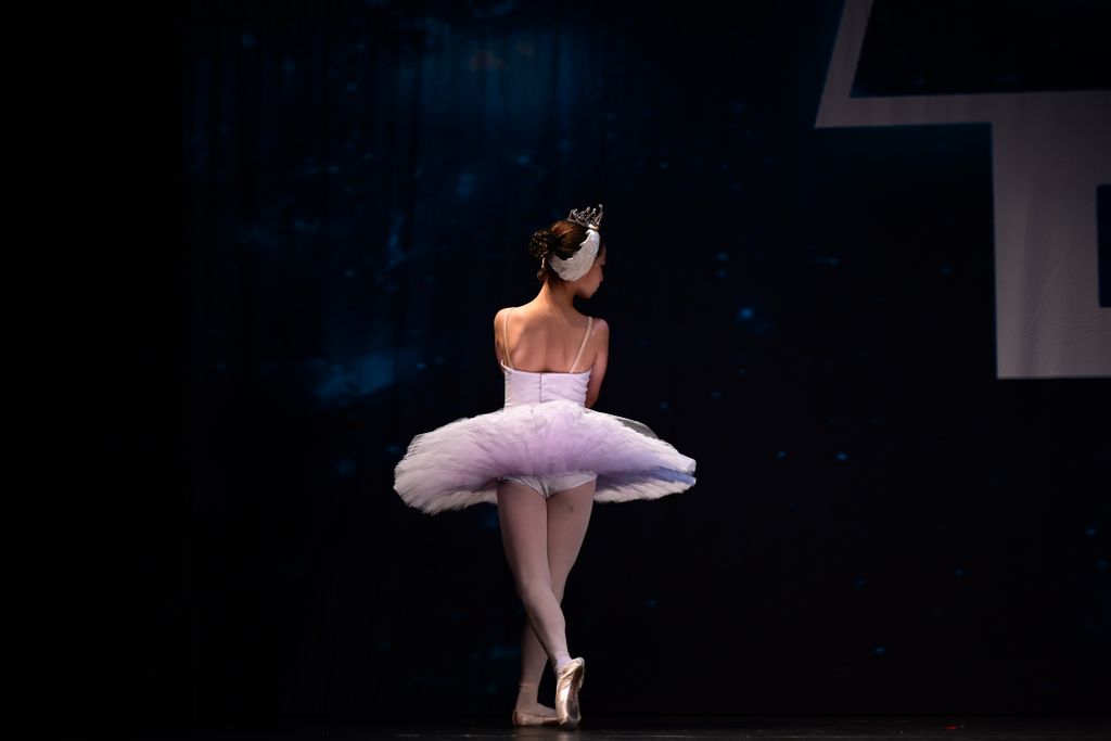 Dying Swan