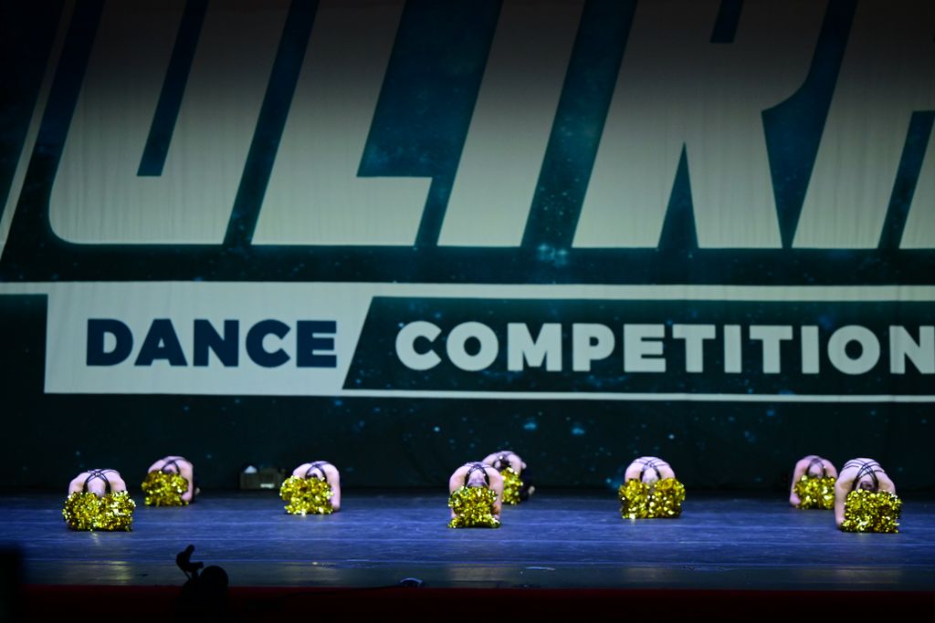 Lions, Tigers & Bears