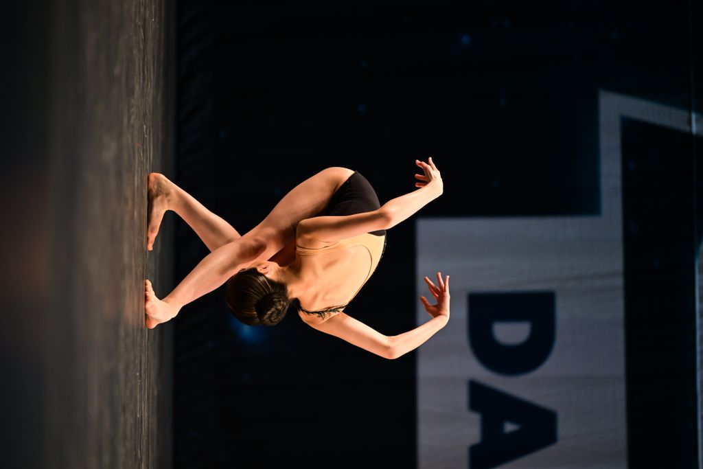 Song Of The Black Swan