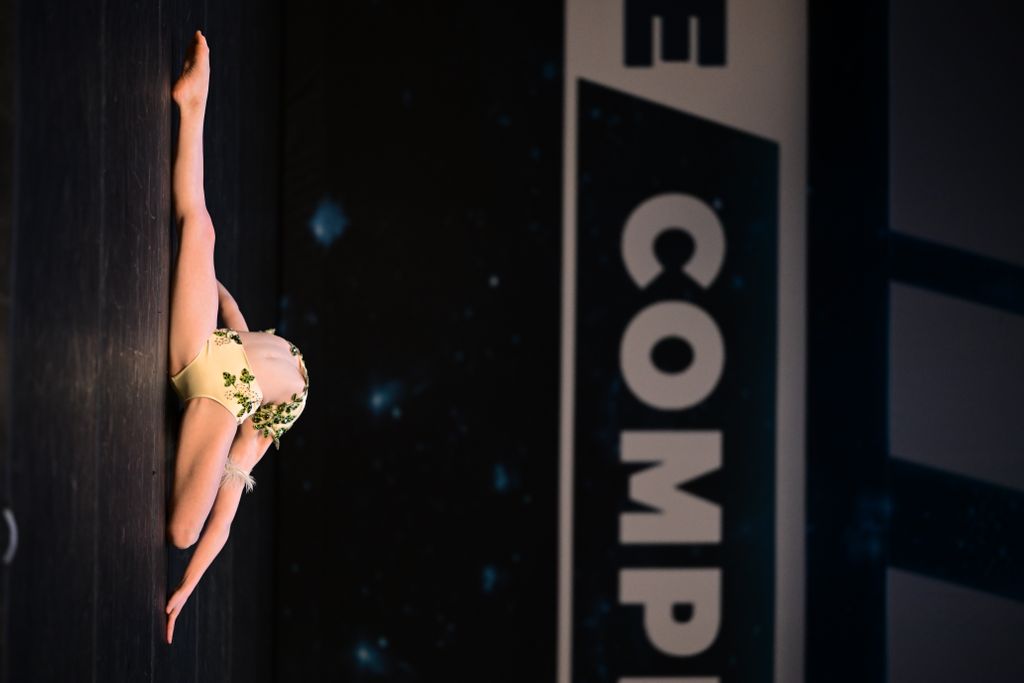 The Wild Swans On The Lake