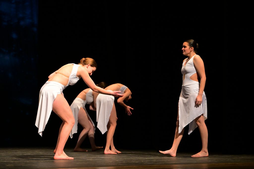 The Blowers Daughter