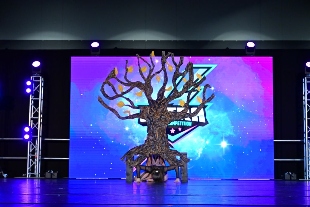 Stranger Things: The Upside Down