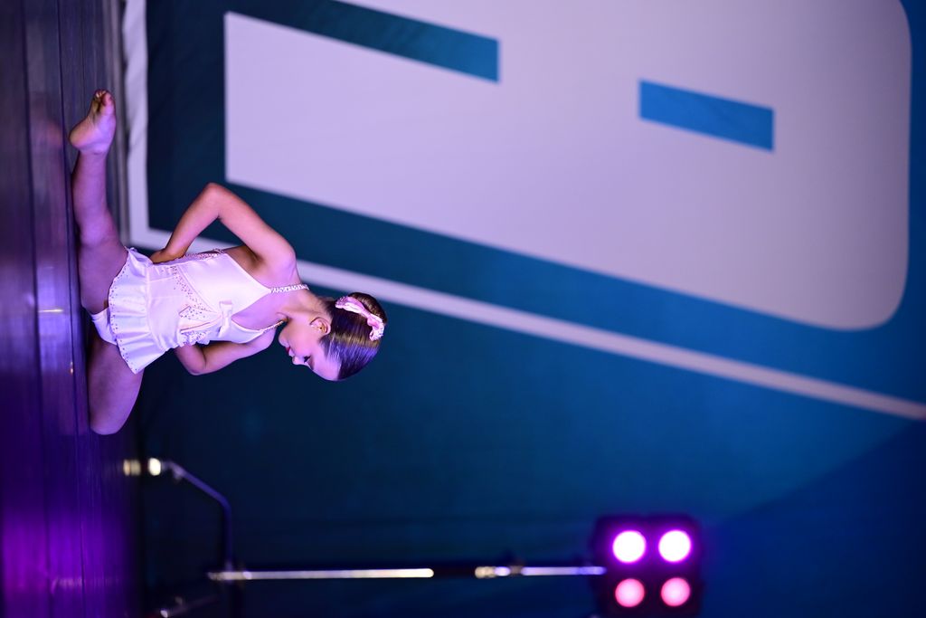 Can't Help Falling In Love