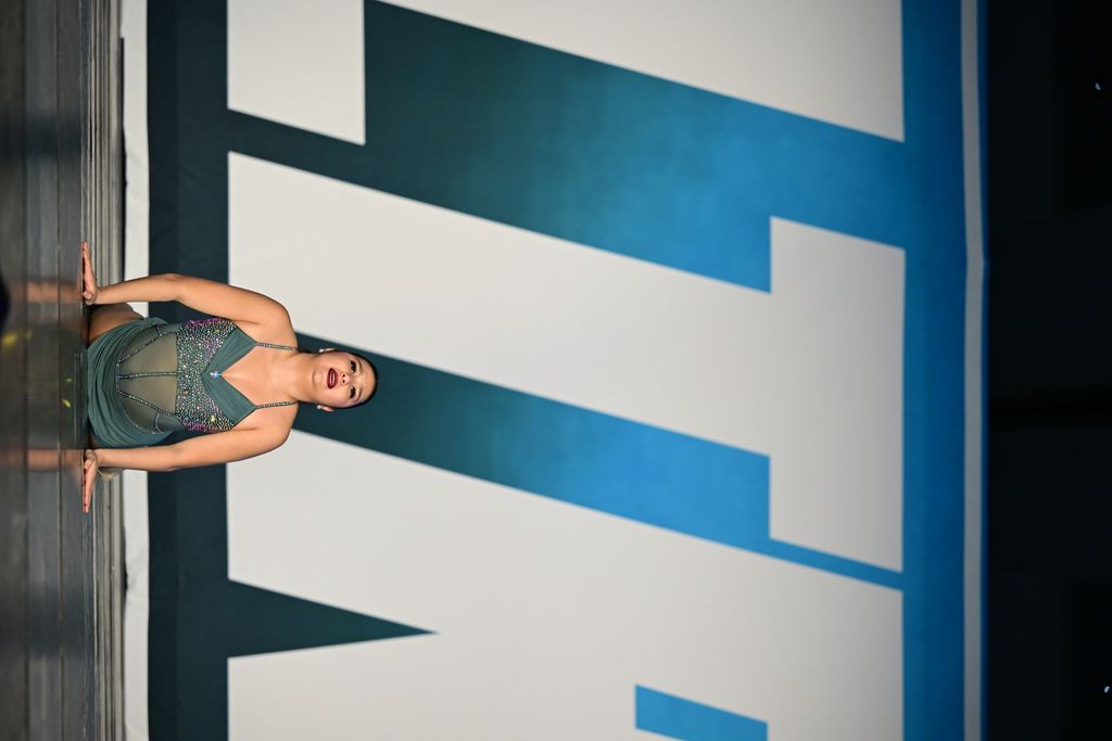 I'll Never Love Again