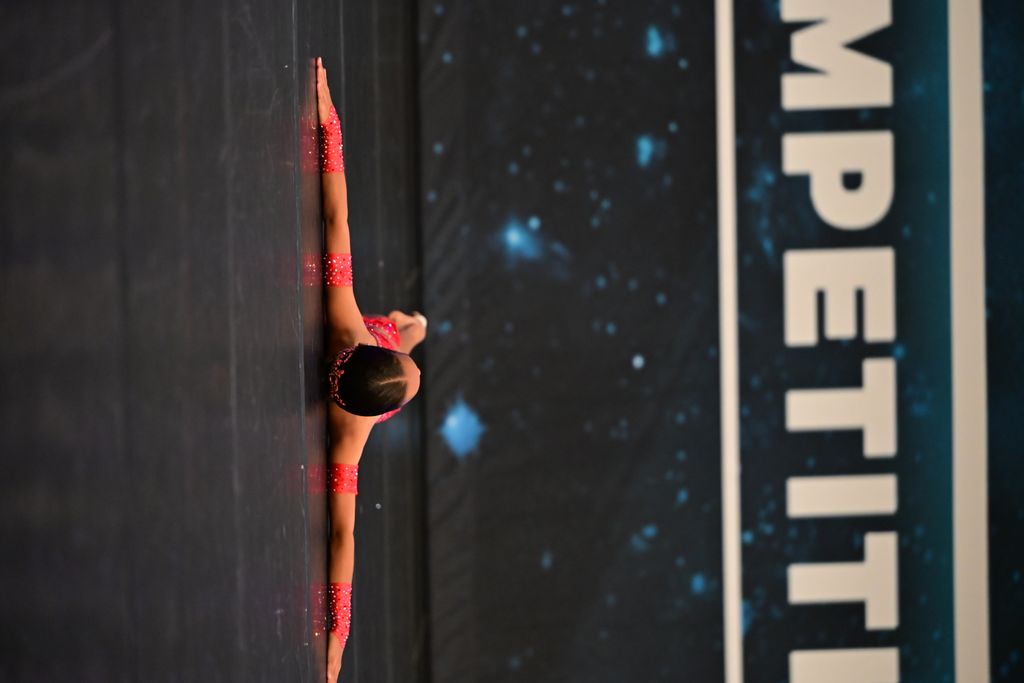 Can't Help Falling In Love